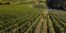 DOMAINE DE L'AUMONIÈRE - Vigneulles-lès-Hattonchâtel