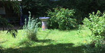 JARDIN TERRE DE REVES - Saint-Mihiel