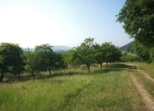 LES COTES DE MEUSE - Vigneulles-lès-Hattonchâtel