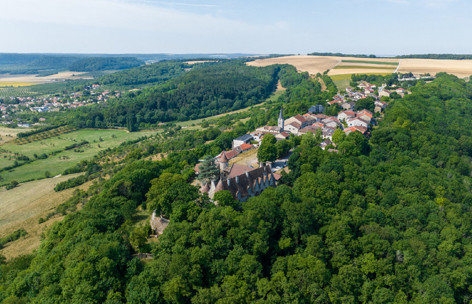 FLY MONTGOLFIÈRE 3 - Vigneulles-lès-Hattonchâtel