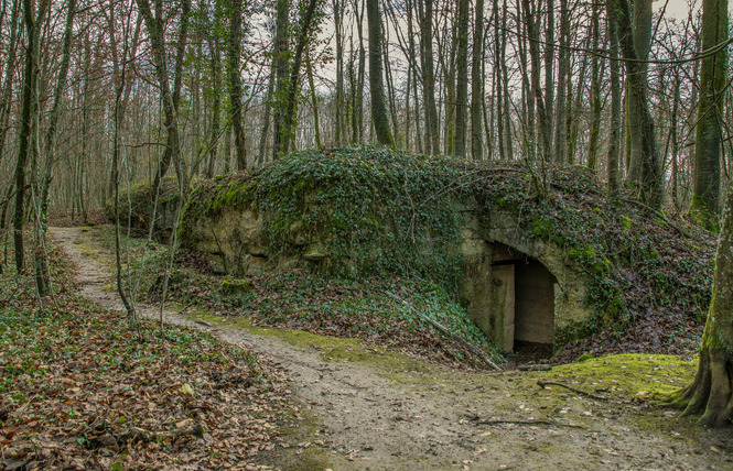 HÔPITAL ALLEMAND DE LA FORÊT DE GOBESSART 2 - Apremont-la-Forêt