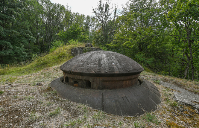 FORT DE LIOUVILLE 5 - Apremont-la-Forêt