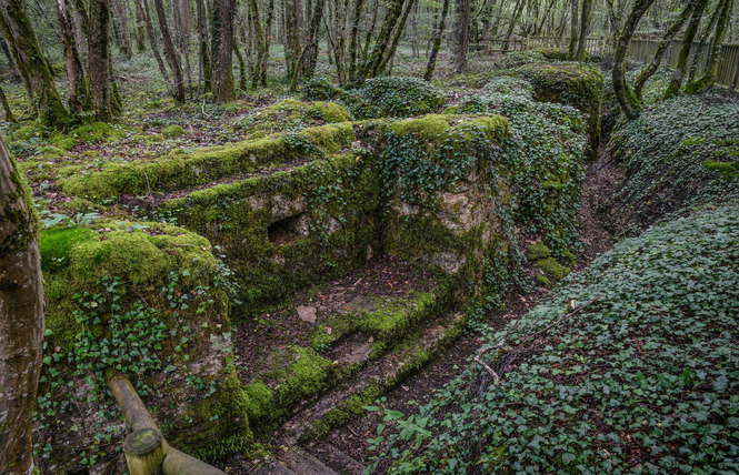 TRANCHÉES DES BAVAROIS ET DE ROFFIGNAC 2 - Apremont-la-Forêt