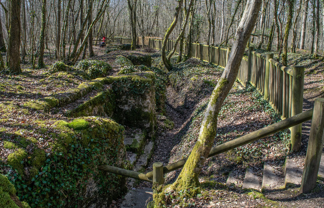 TRANCHÉES DES BAVAROIS ET DE ROFFIGNAC 5 - Apremont-la-Forêt