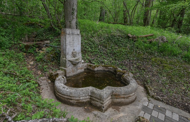 FONTAINE DES CARMES 3 - Saint-Mihiel