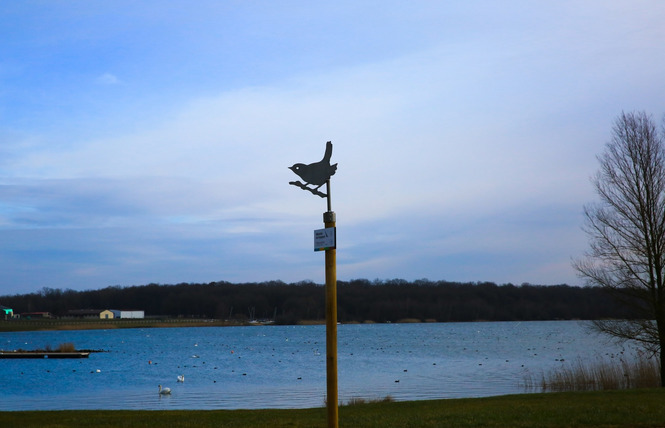 RESERVE DU LAC DE MADINE 4 - Nonsard-Lamarche