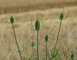 LES COTES DE MEUSE 3 - Vigneulles-lès-Hattonchâtel