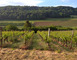 DOMAINE DE MEUSSAUMONT 2 - Vigneulles-lès-Hattonchâtel